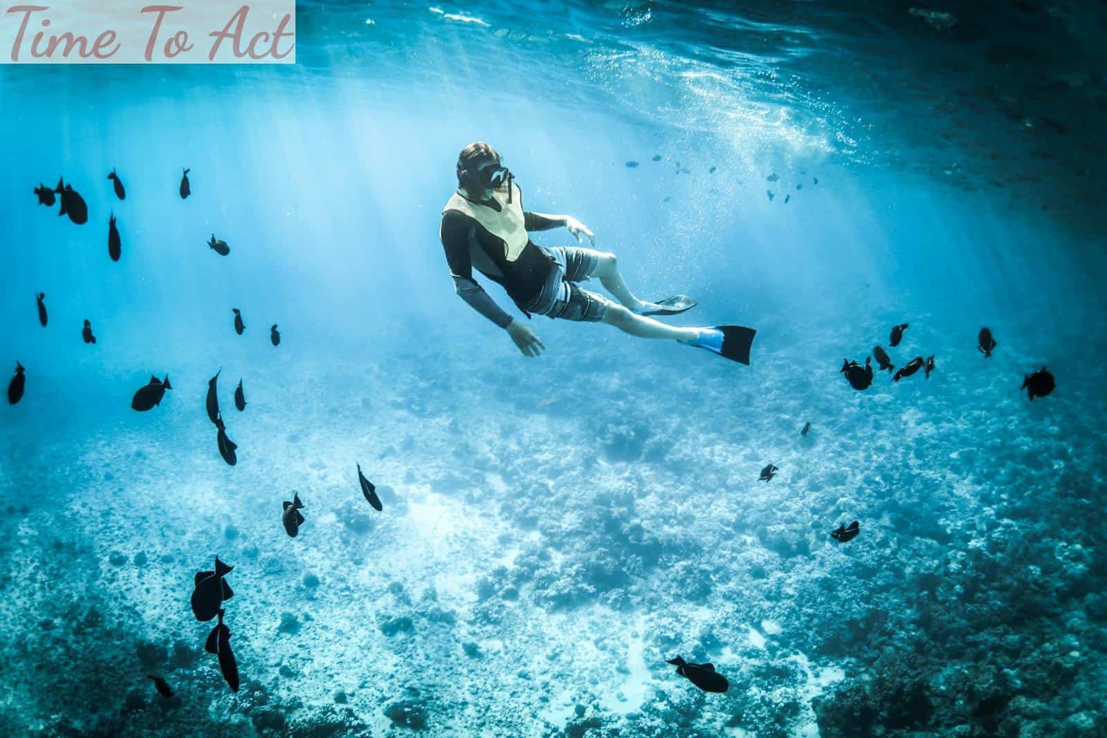 Mejor equipo para hacer snorkel