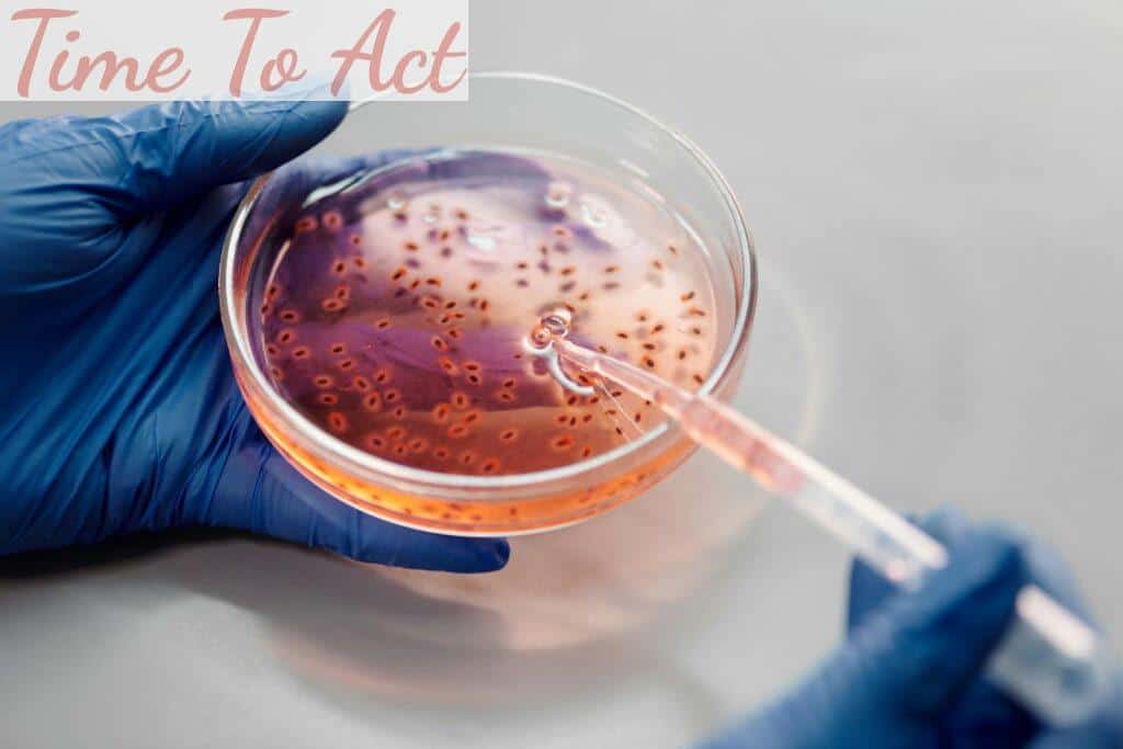 declive de los antibióticos
