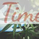 Top 3 CBD shops que envían a Francia