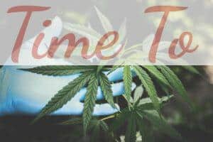 Top 3 CBD shops que envían a Francia