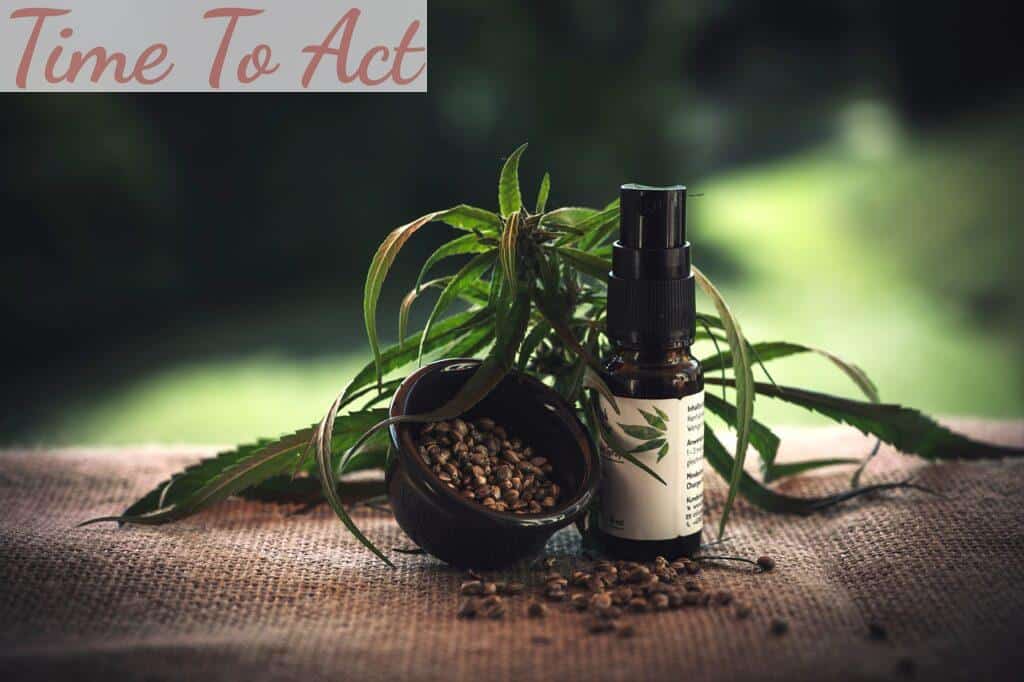 CBD shops que envían a Francia