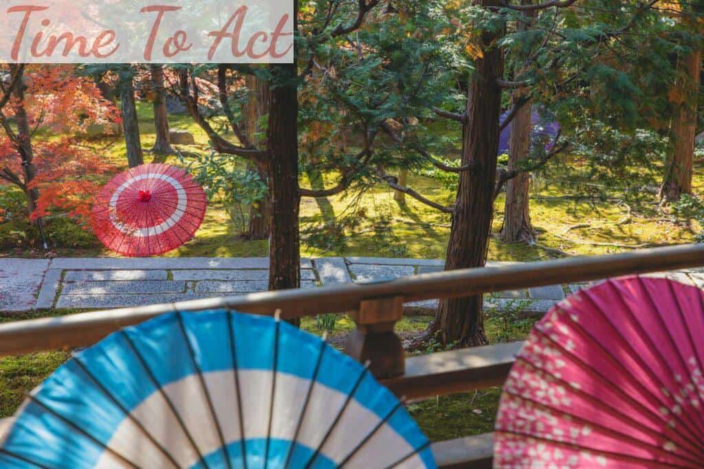 Serene Japanese garden with colorful traditional umbrellas and lush foliage in autumn.