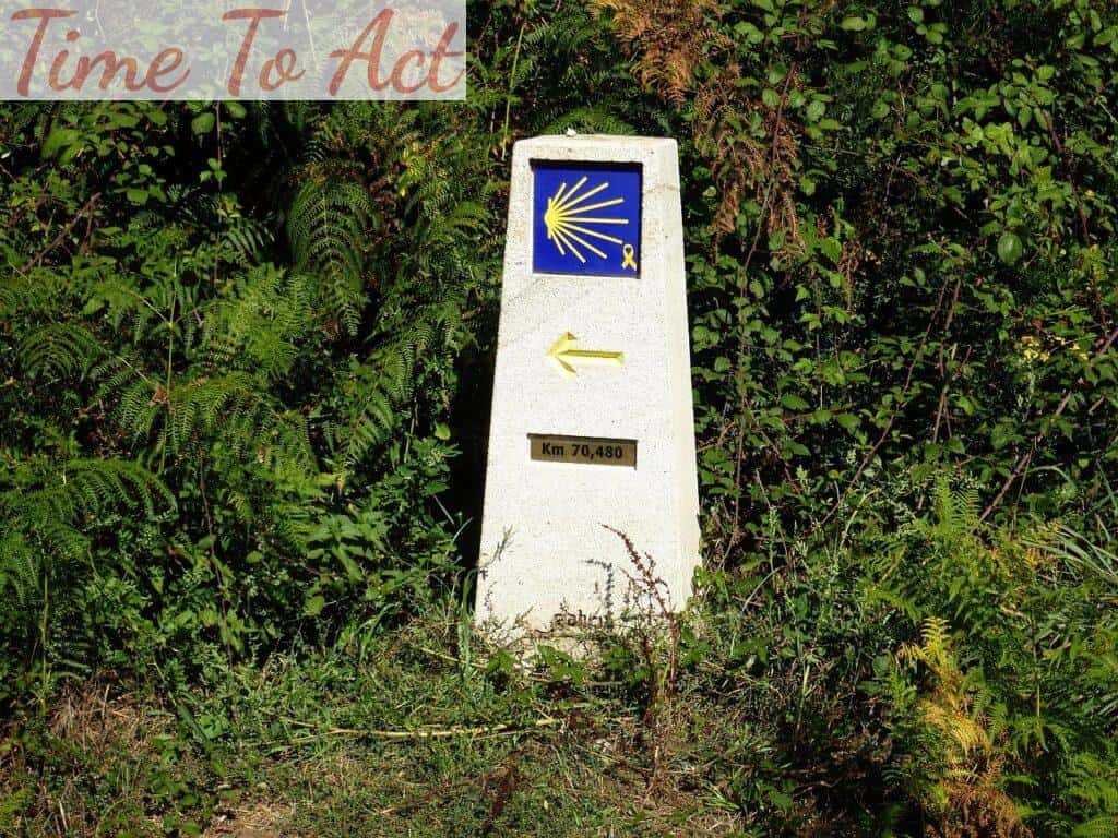 El Camino Francés 