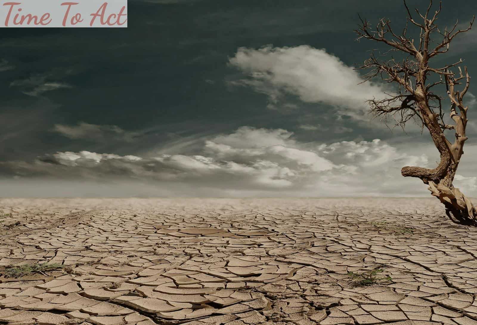 El impacto de las iniciativas globales en el cambio climático